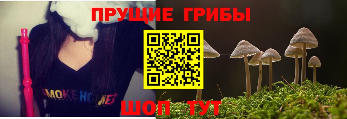 Галлюциногенные грибы MAGIC MUSHROOMS Барабинск